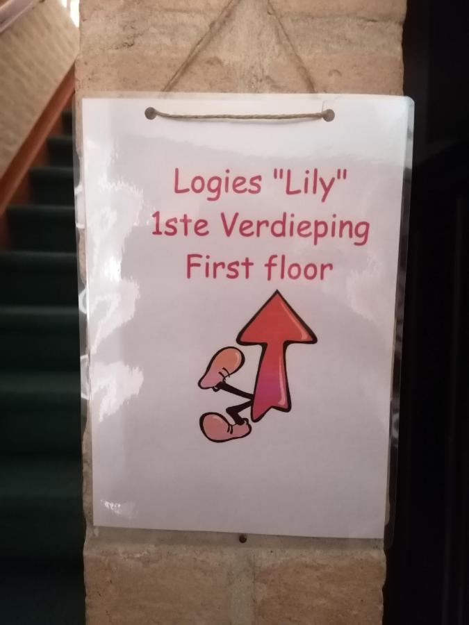 Logies Lily Apartment Oudenburg Exterior foto