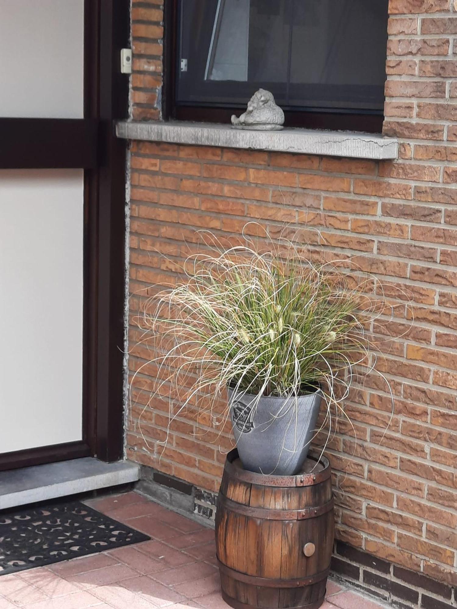 Logies Lily Apartment Oudenburg Exterior foto